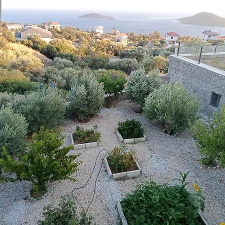 Hotel Bimeyko *